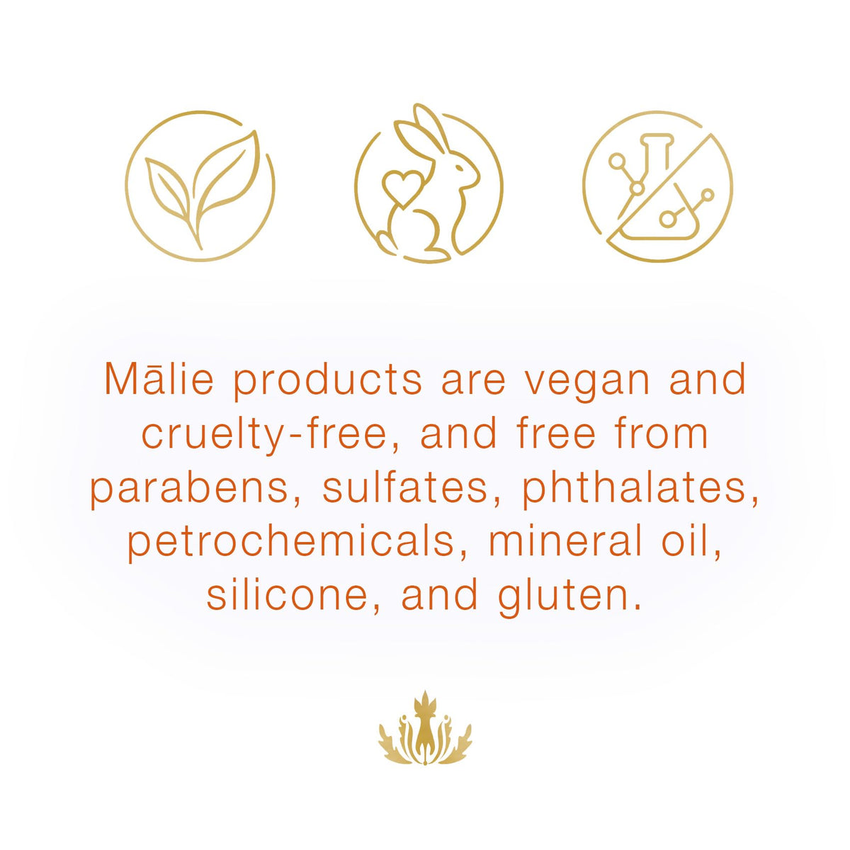 Mālie Organics ingredients flatlay with coconut and kukui nut, emphasizes natural botanicals
