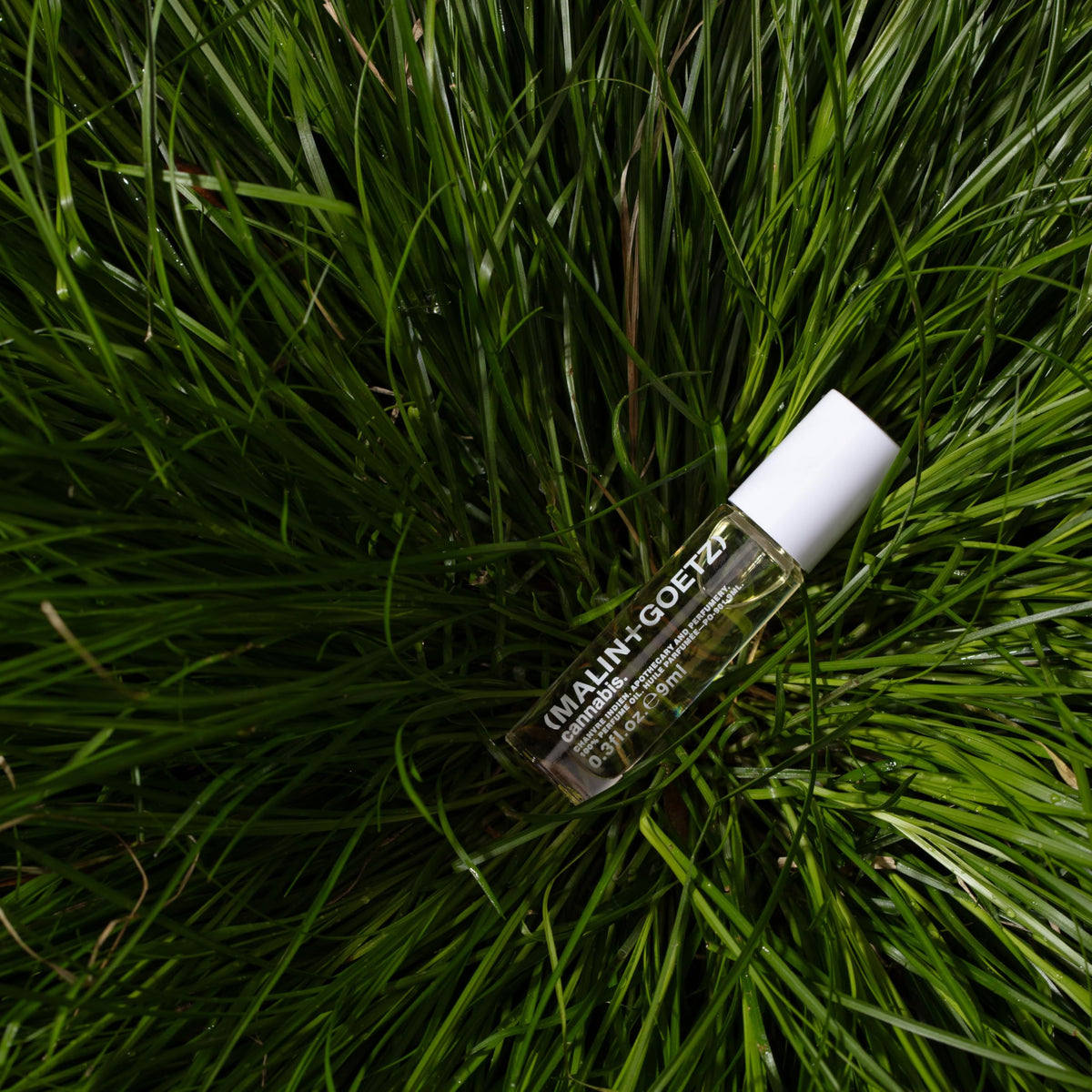 MALIN+GOETZ ingredients display with cedarwood patchouli bergamot for scent profile