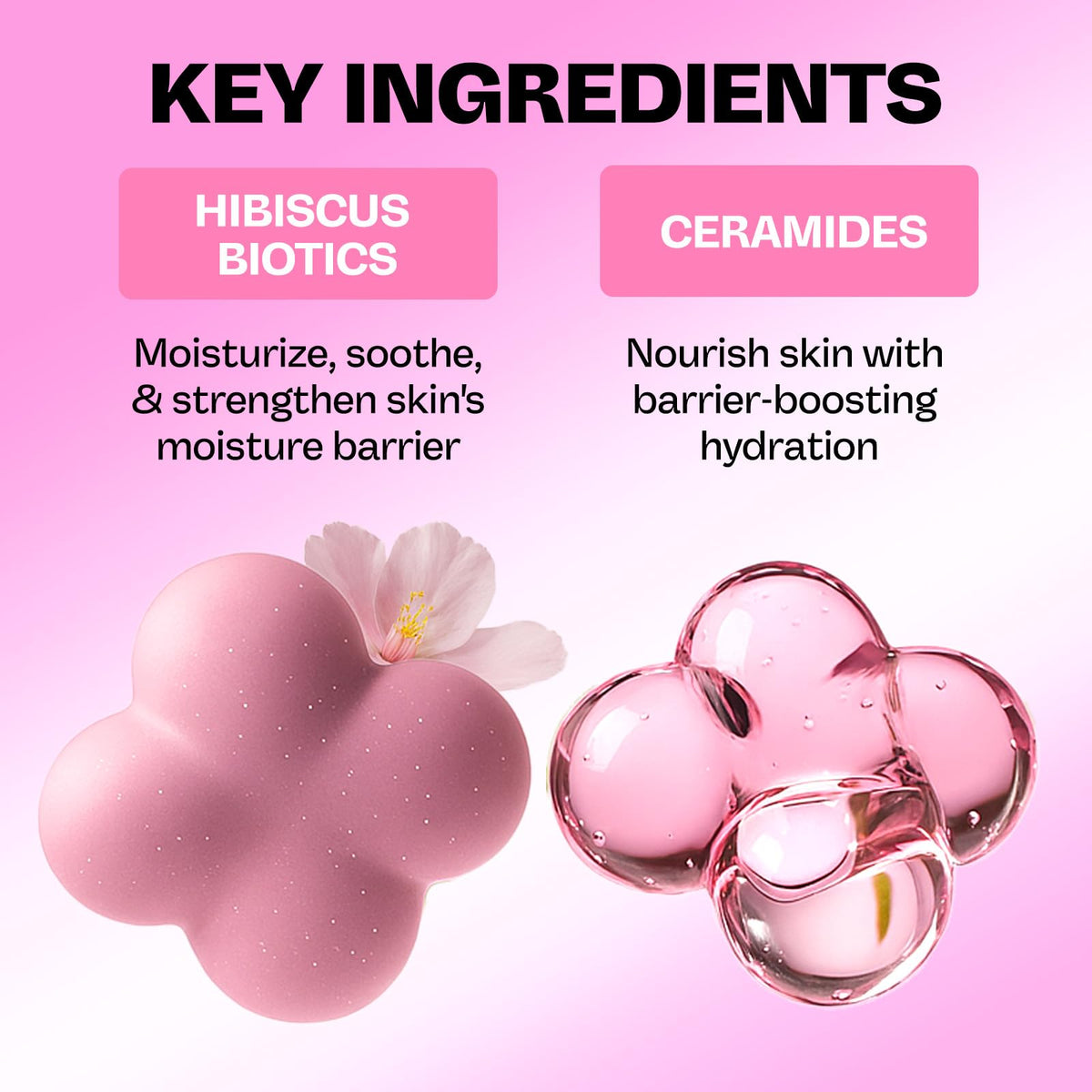 MAMONDE hibiscus ingredient detail emphasizing soothing botanicals