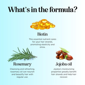 Maple Holistics with argan and jojoba illustrating natural moisturizing benefits