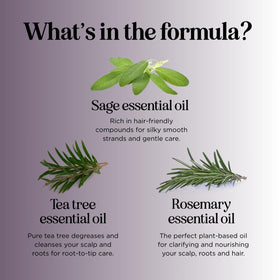 Maple Holistics bottle held in hand to show product size and easy handling benefit