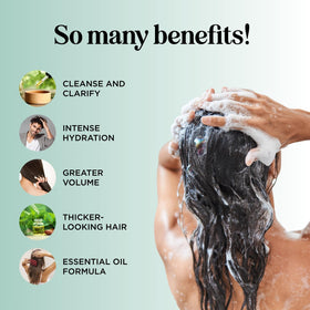 Maple Holistics bottle label close-up highlighting biotin and rosemary for fuller-looking hair