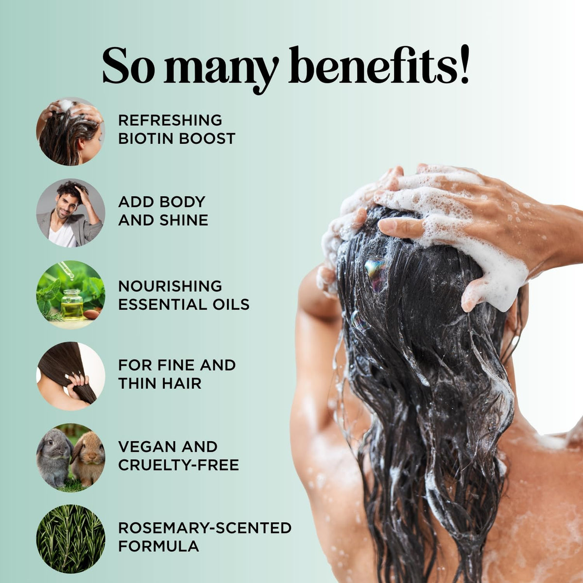 Maple Holistics label close-up highlighting clean ingredient lineup
