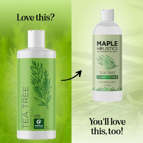 Maple Holistics bottle beside tea tree leaves illustrating natural oils