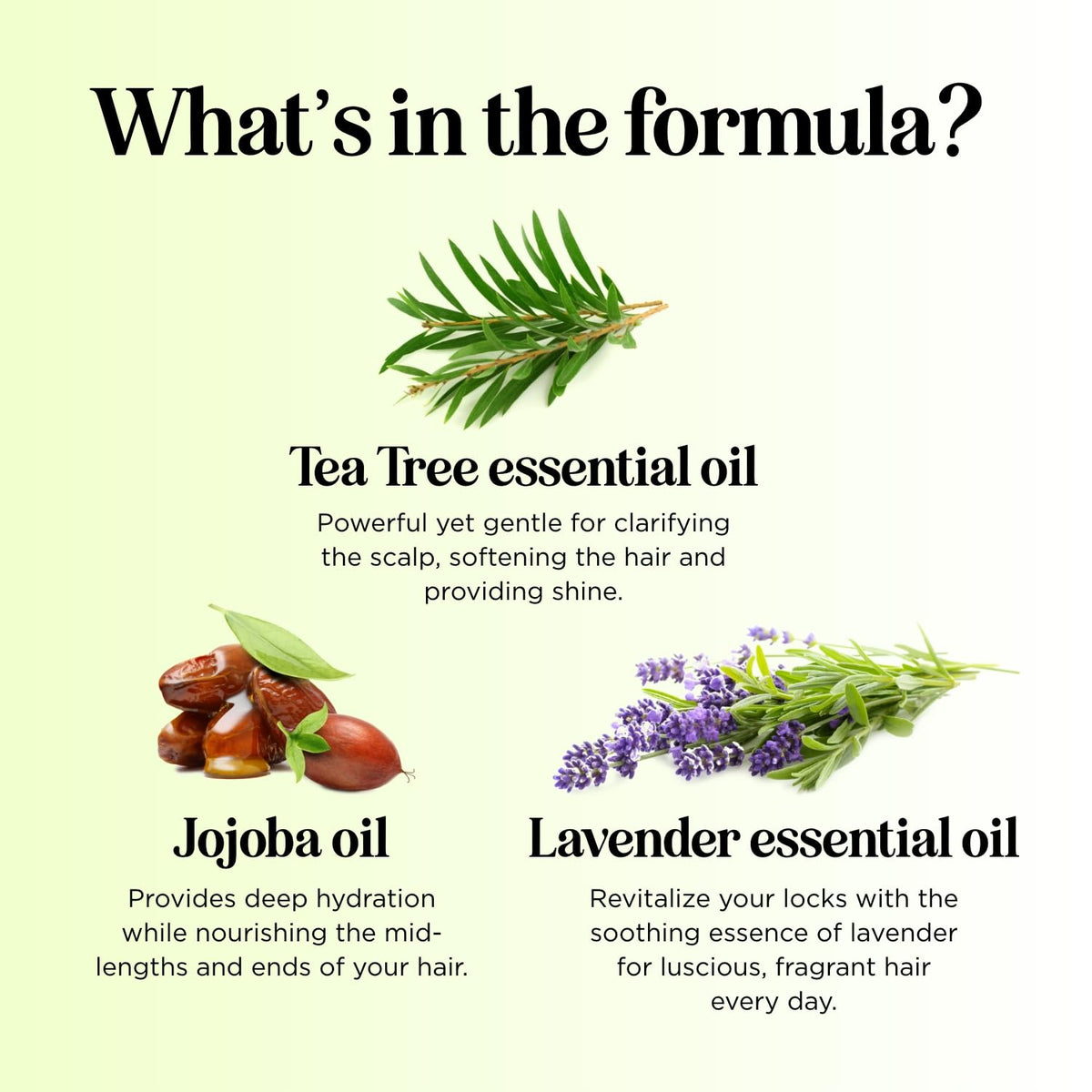 Maple Holistics bottle beside tea tree leaves highlighting natural oils