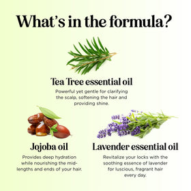Maple Holistics bottle beside tea tree leaves highlighting natural oils