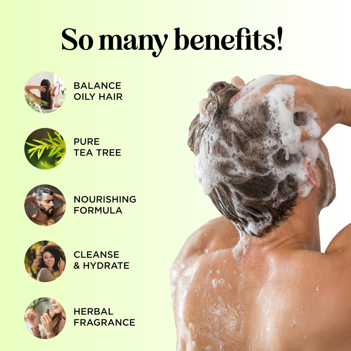 maple holistics conditioner creamy texture with shea butter for soft hair
