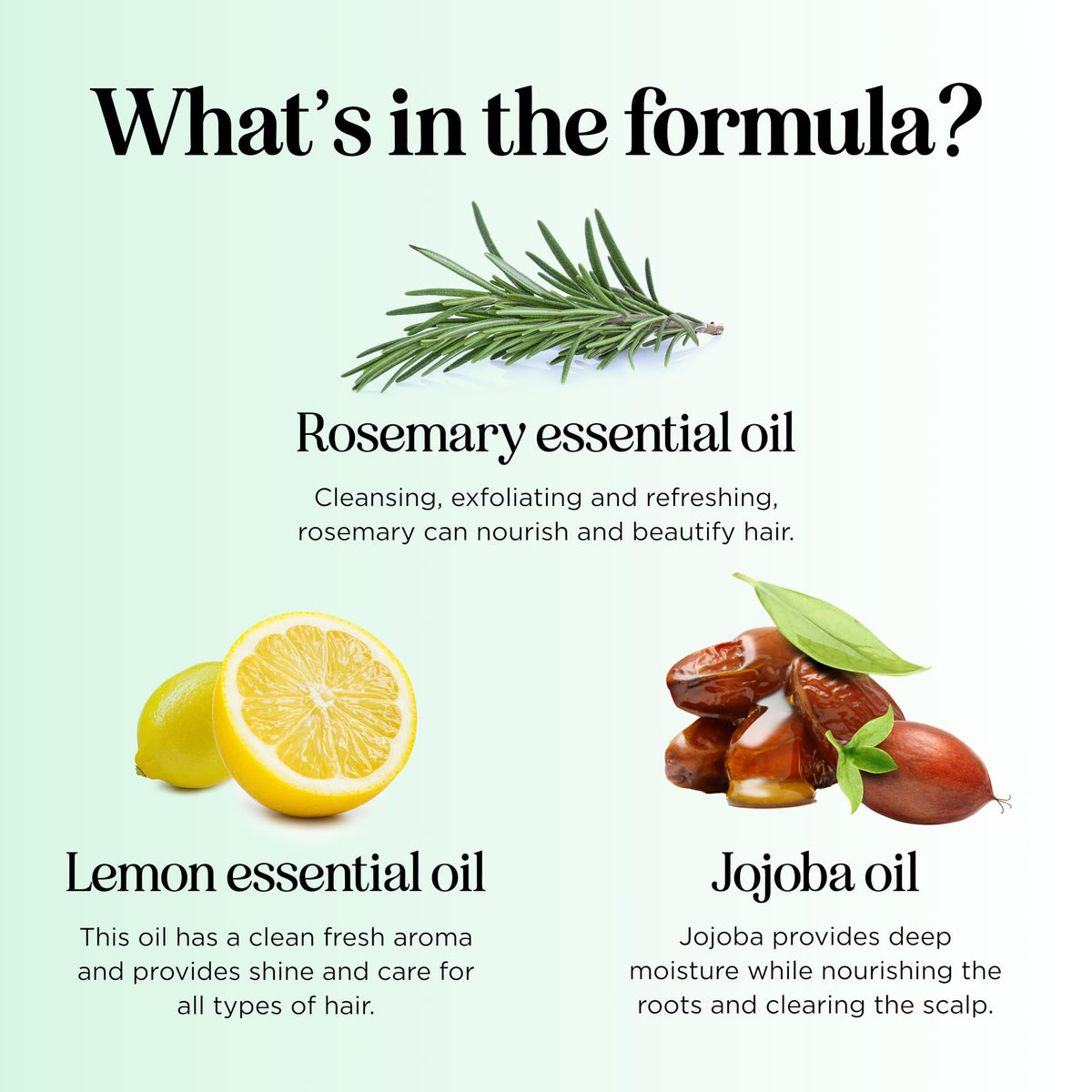 Maple Holistics rosemary lemon basil oils flatlay showing natural ingredients