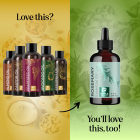 Maple Holistics grapeseed oil in clear bottle illustrating lightweight finish and quick drying