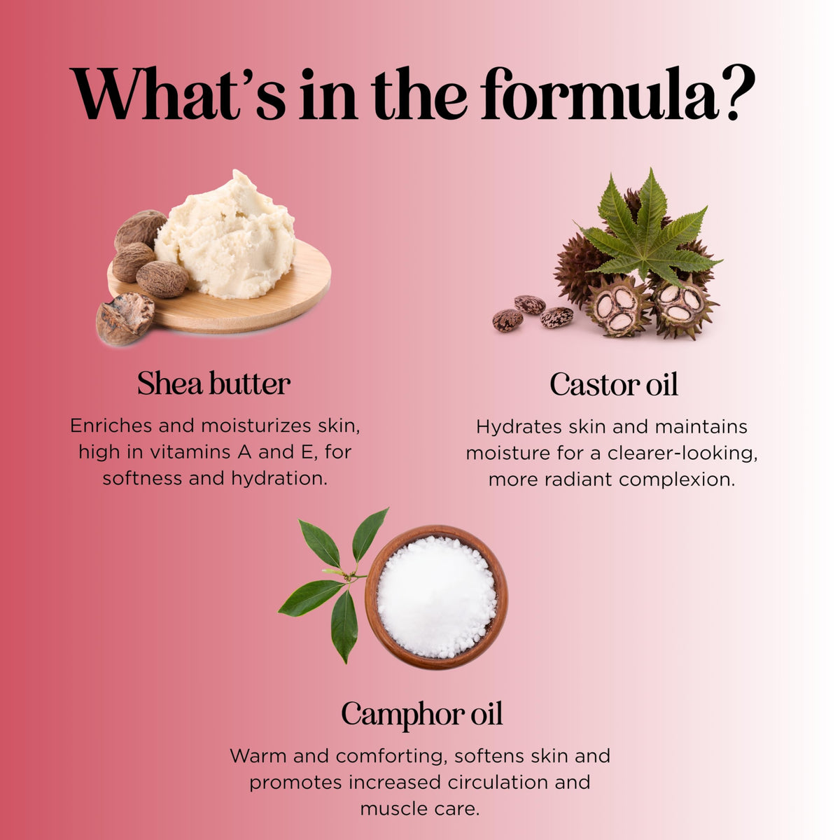 Maple Holistics botanical ingredients laid out for natural active benefit