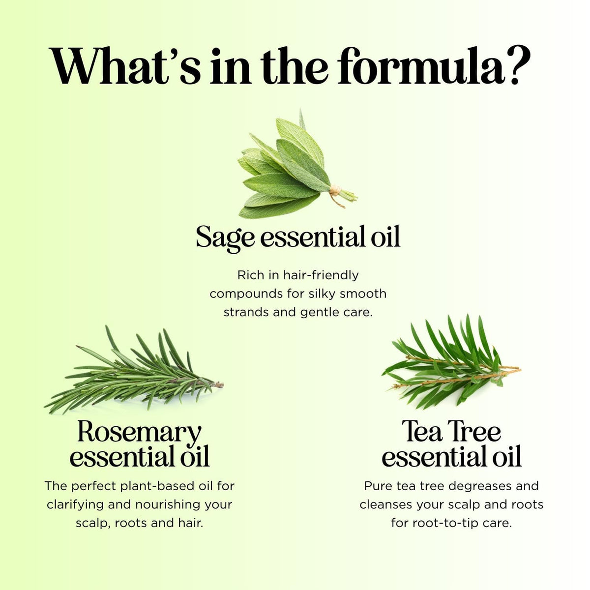 Maple Holistics in-shower use with lather illustrating effective rinsing and residue removal