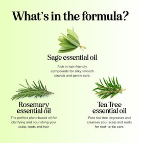 Maple Holistics in-shower use with lather illustrating effective rinsing and residue removal