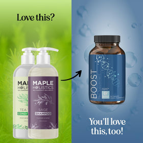 Maple Holistics essential oils and botanicals display highlighting formulation