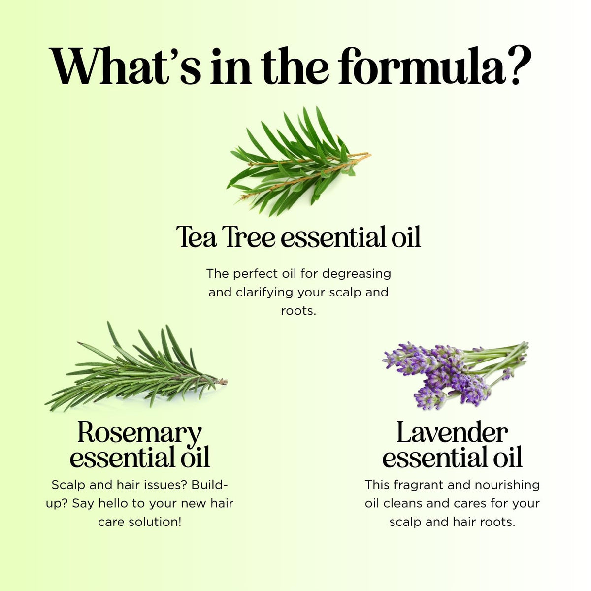 Maple Holistics label ingredient list highlighting natural essential oils