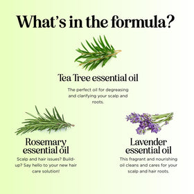 Maple Holistics label ingredient list highlighting natural essential oils