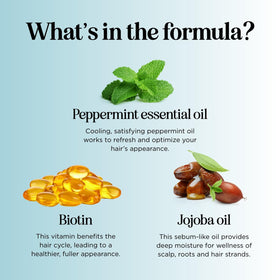 Maple Holistics with argan coconut olive oils arranged to show nourishing benefits
