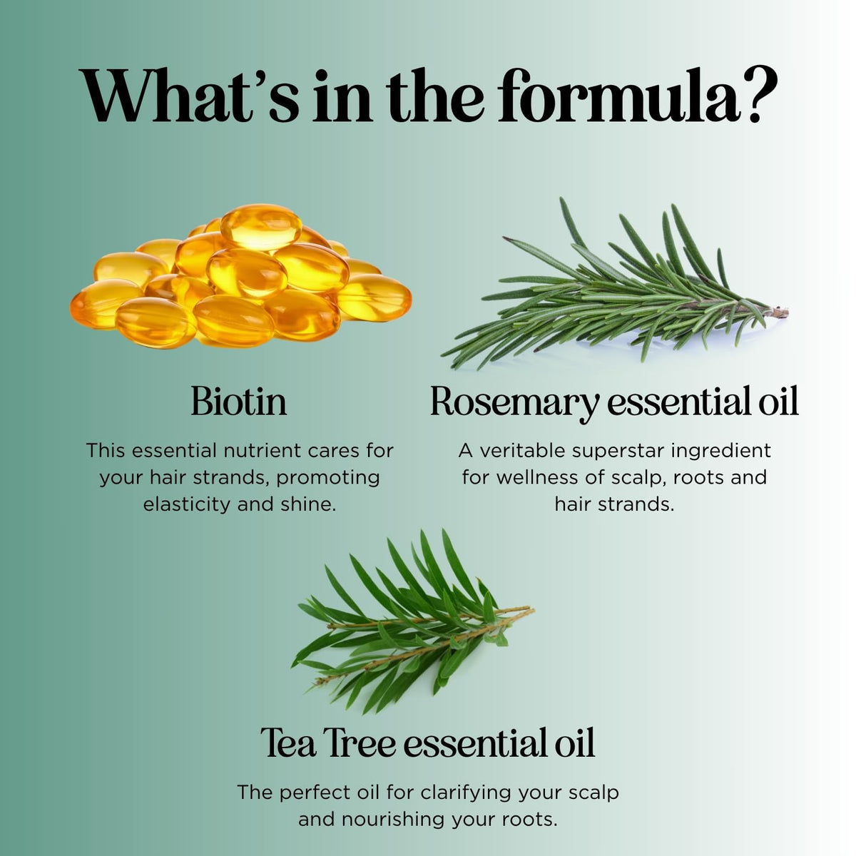 Maple Holistics rosemary sprigs with bottle highlighting botanical ingredients