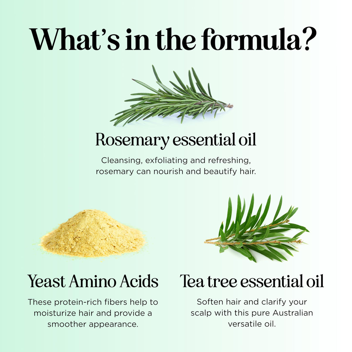 Maple Holistics rosemary sprig image suggesting clarifying botanical support