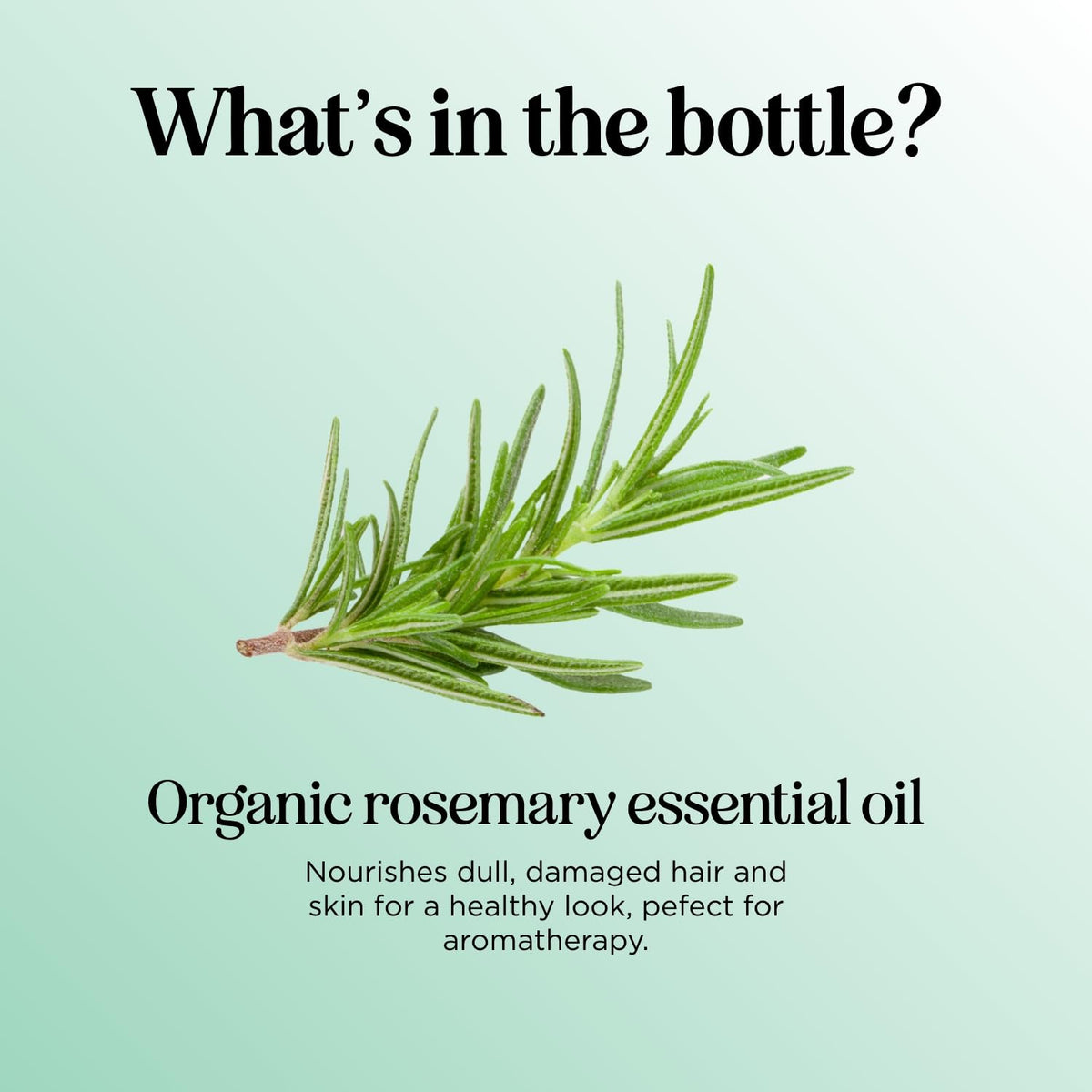 Maple Holistics rosemary oil dropper dispensing a drop for controlled dosing