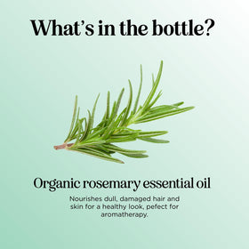 Maple Holistics rosemary oil dropper dispensing a drop for controlled dosing
