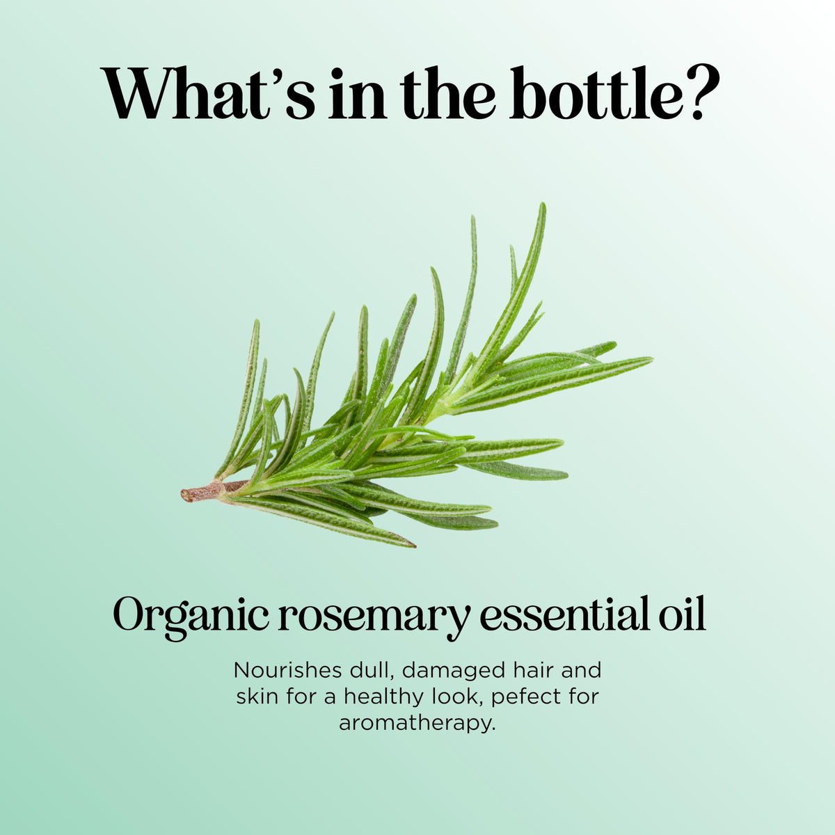 Maple Holistics rosemary oil being massaged into scalp for improved routine