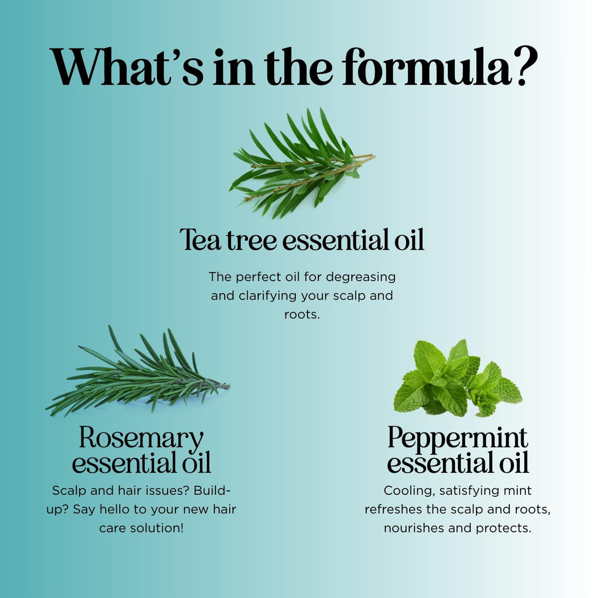 Maple Holistics shampoo in hand during application for easy use