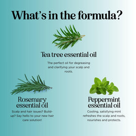 Maple Holistics shampoo in hand during application for easy use
