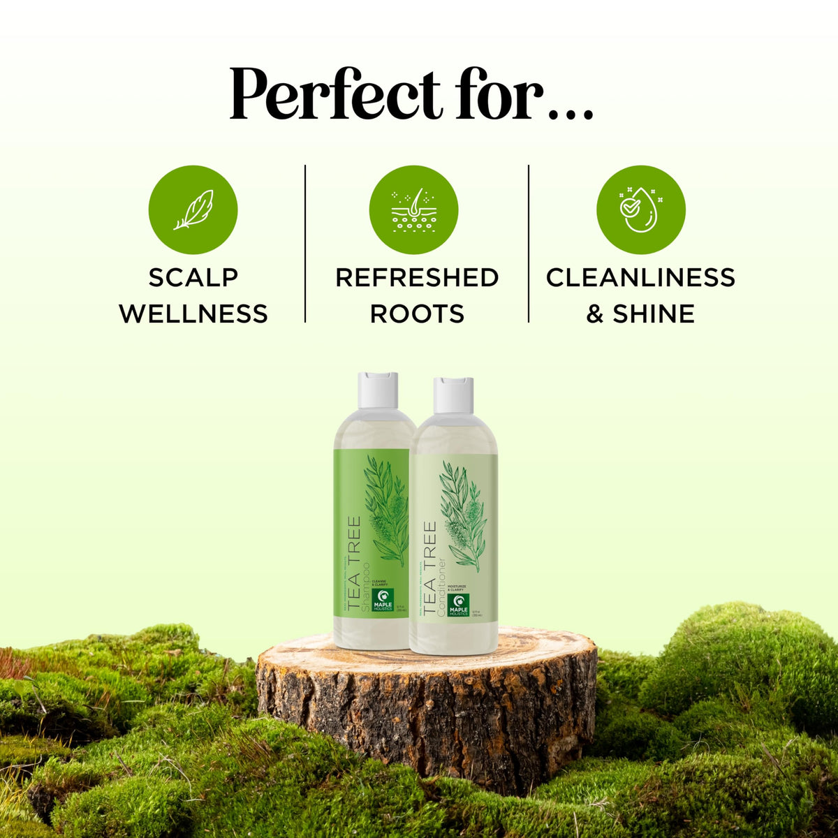 maple holistics shampoo pump dispensing gentle clarifying texture benefits cleansing
