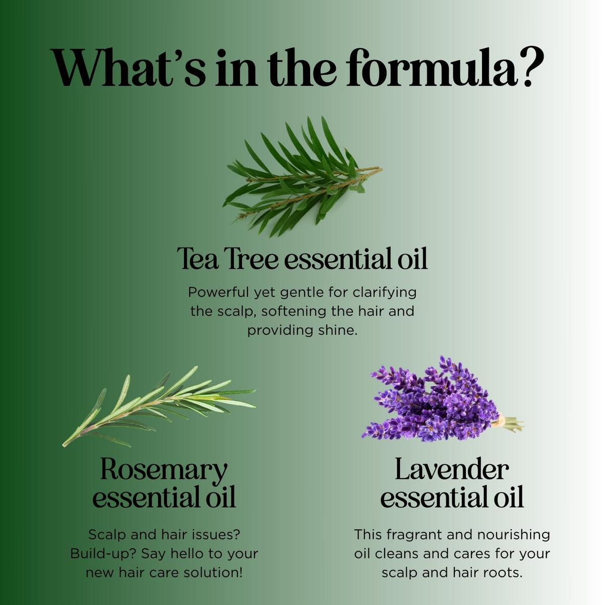 Maple Holistics duo staged on a bath shelf suggesting a clean, chemical-free routine
