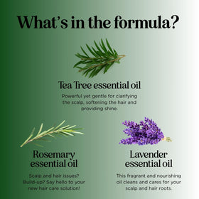 Maple Holistics duo staged on a bath shelf suggesting a clean, chemical-free routine