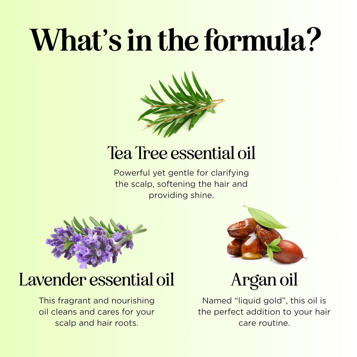 Maple Holistics in-shower scalp massage showing effective oily scalp cleansing