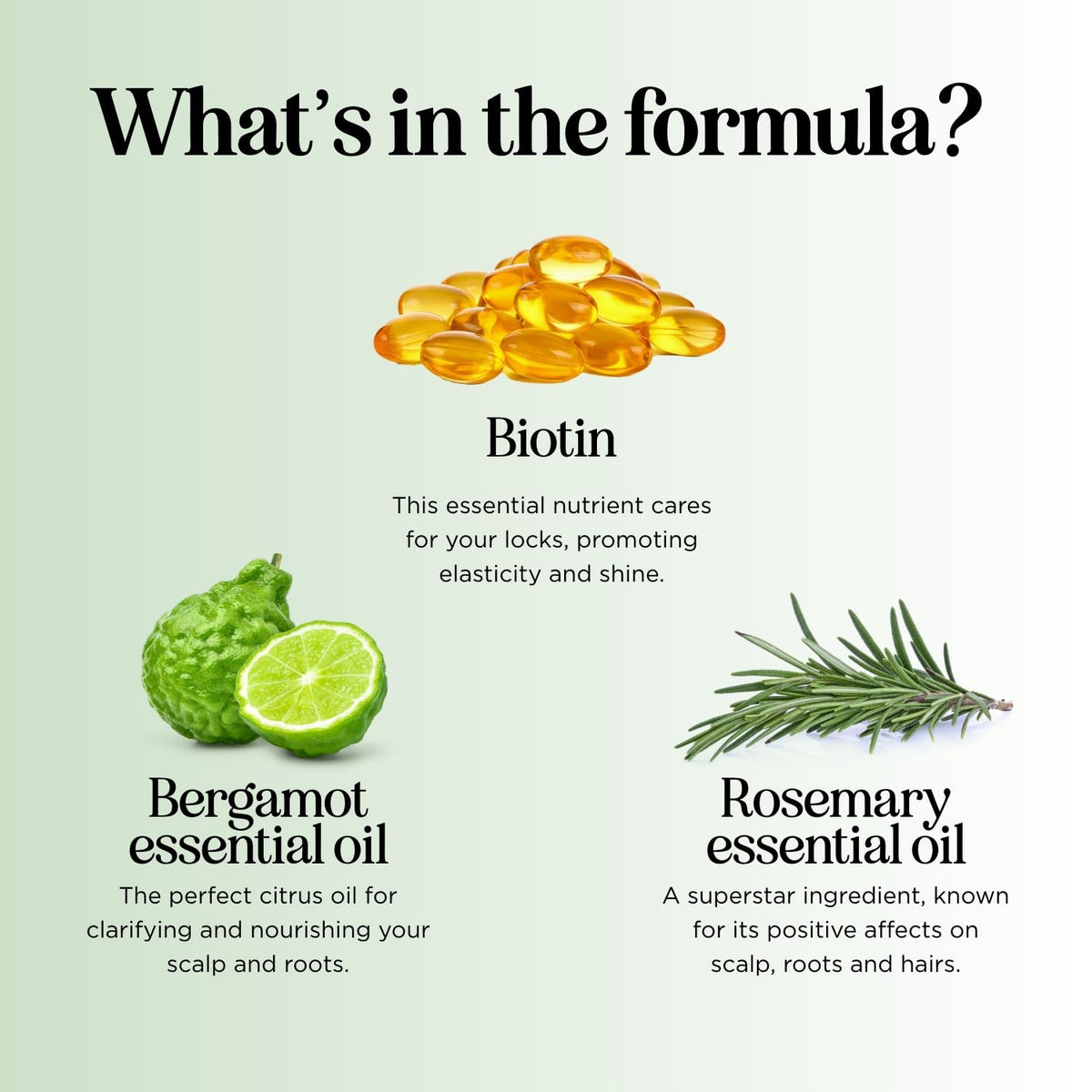 Flatlay of Maple Holistics with rosemary and bergamot, highlights natural oils and nourishing benefits