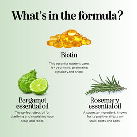 Flatlay of Maple Holistics with rosemary and bergamot, highlights natural oils and nourishing benefits