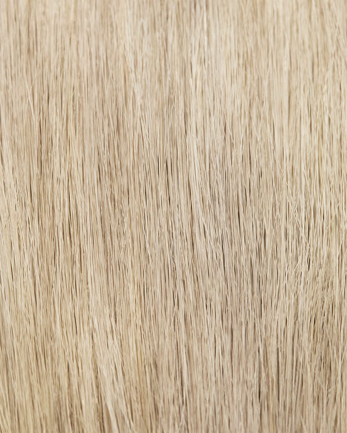 Maria Nila closeup of argan oil ingredient emphasizing moisture benefit