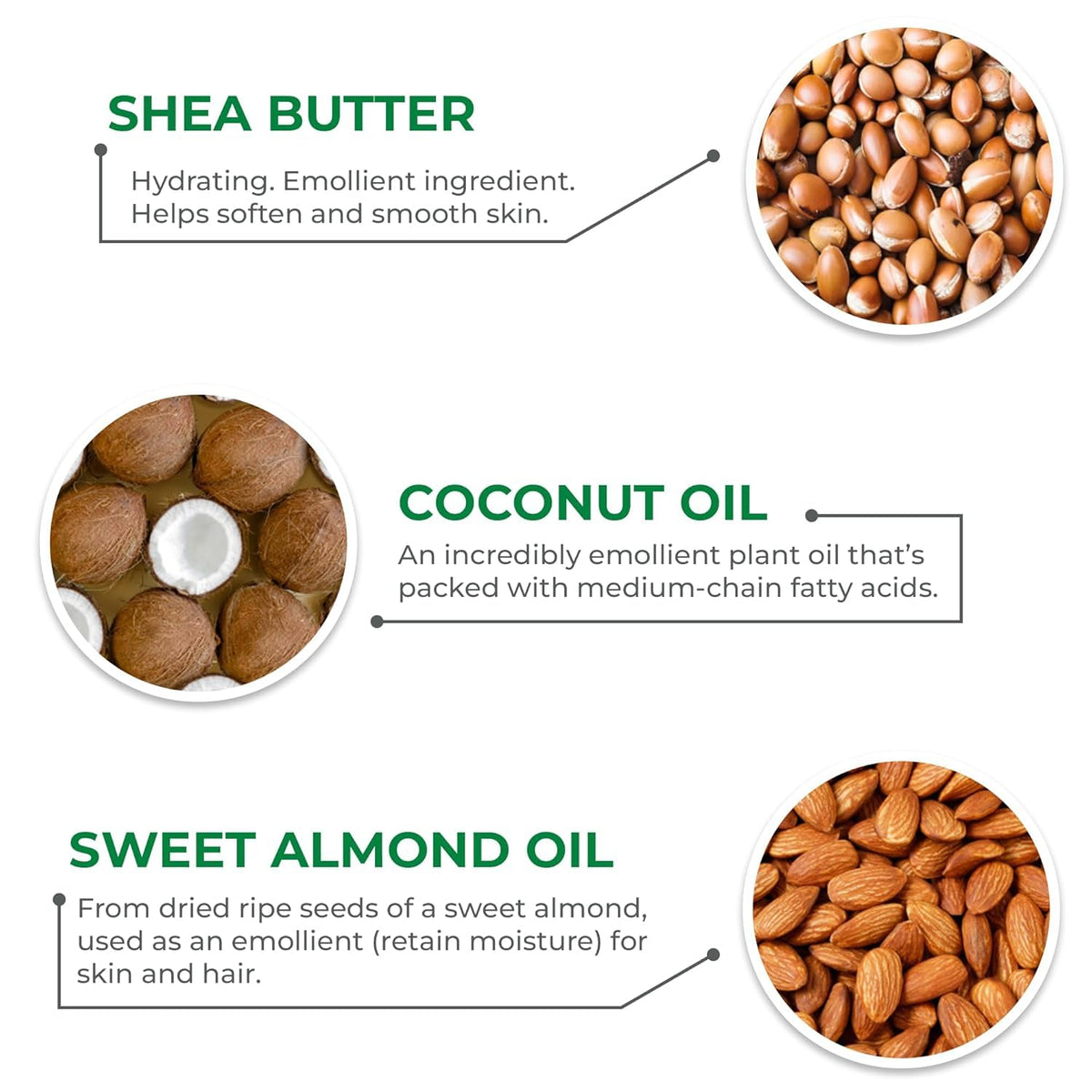 Mario Badescu ingredients arranged with coconut and shea to show nourishment