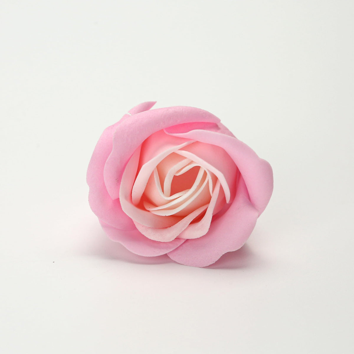 Marsrut hand holding single rose to show individual size and delicate decorative appeal