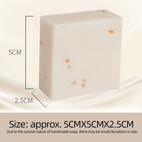Maruomiki size comparison 65g bar beside coin, visual weight and travel friendly