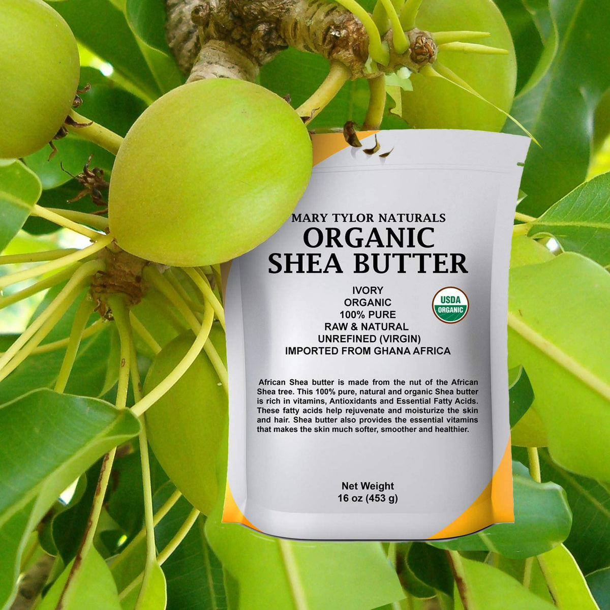 Close-up texture of Mary Tylor Naturals shea butter showing smooth unrefined consistency benefit