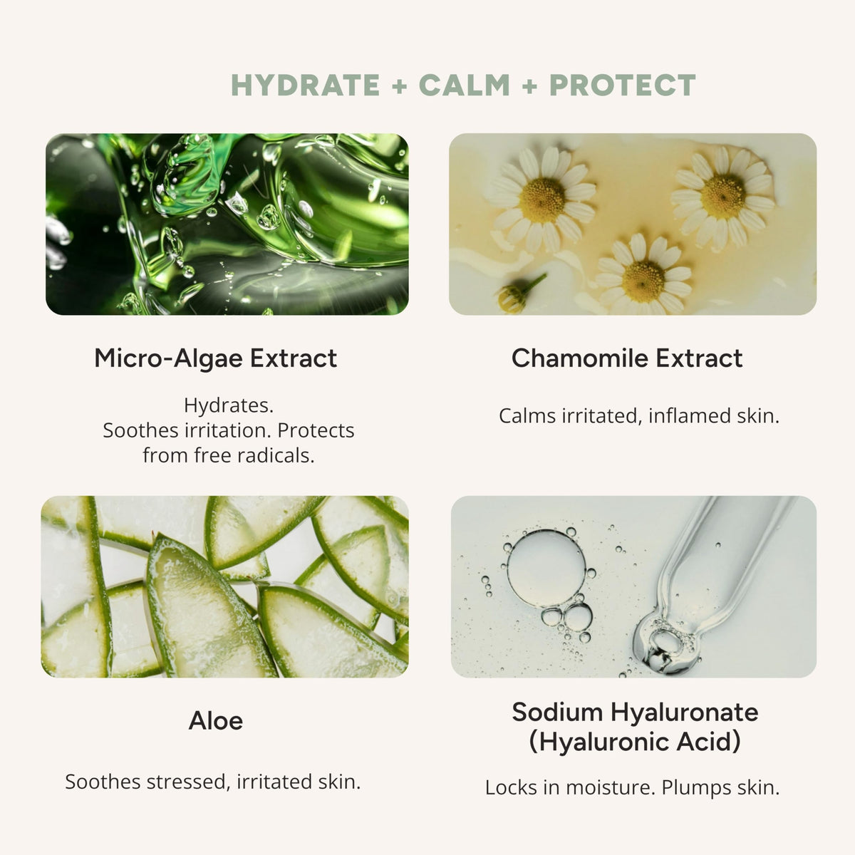 Matter of Monday hyaluronic acid and microalgae ingredient display for visible hydration benefit