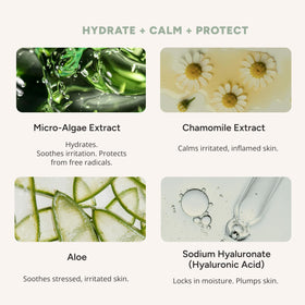 Matter of Monday hyaluronic acid and microalgae ingredient display for visible hydration benefit