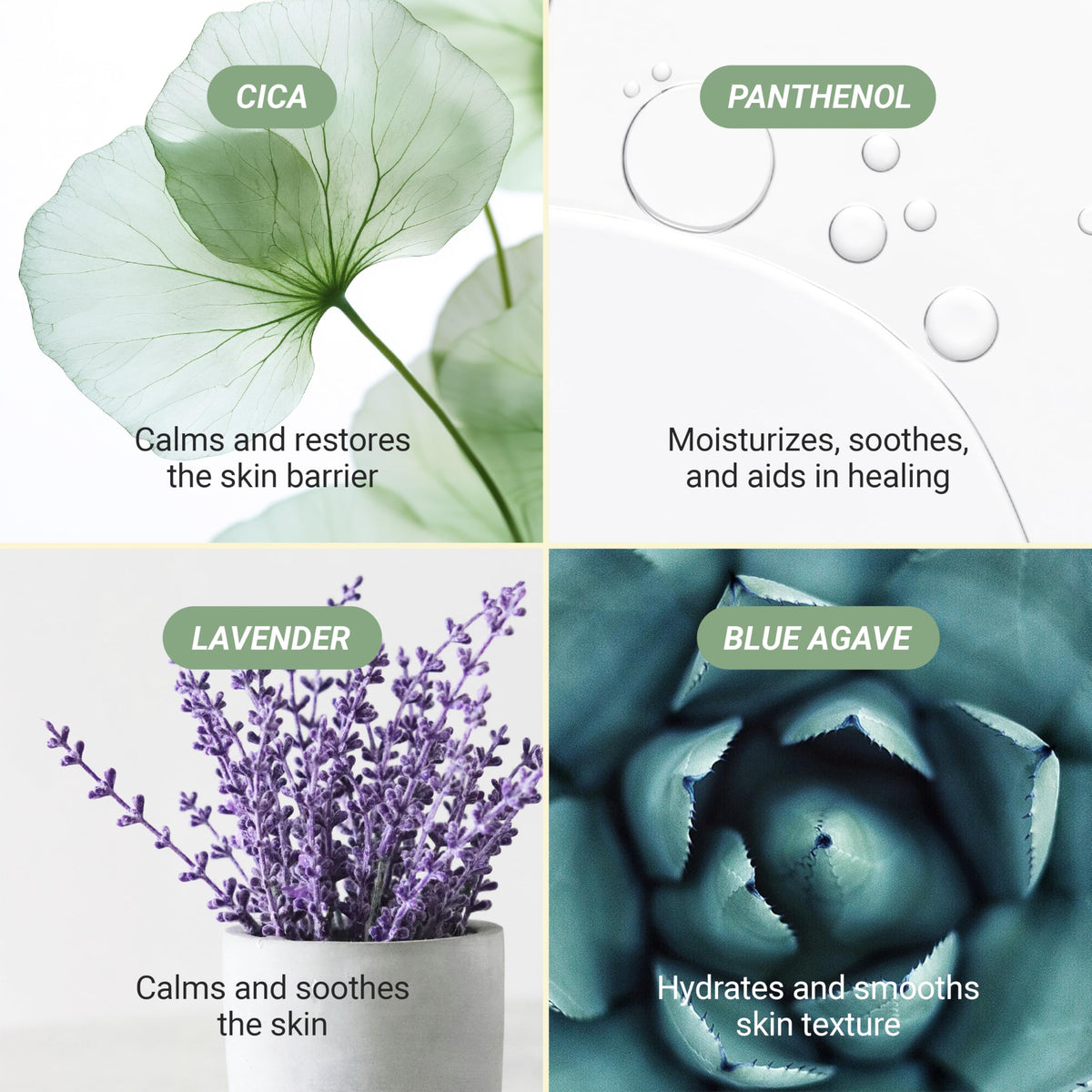 Meebak ingredients label closeup highlighting Cica and lavender soothing benefits
