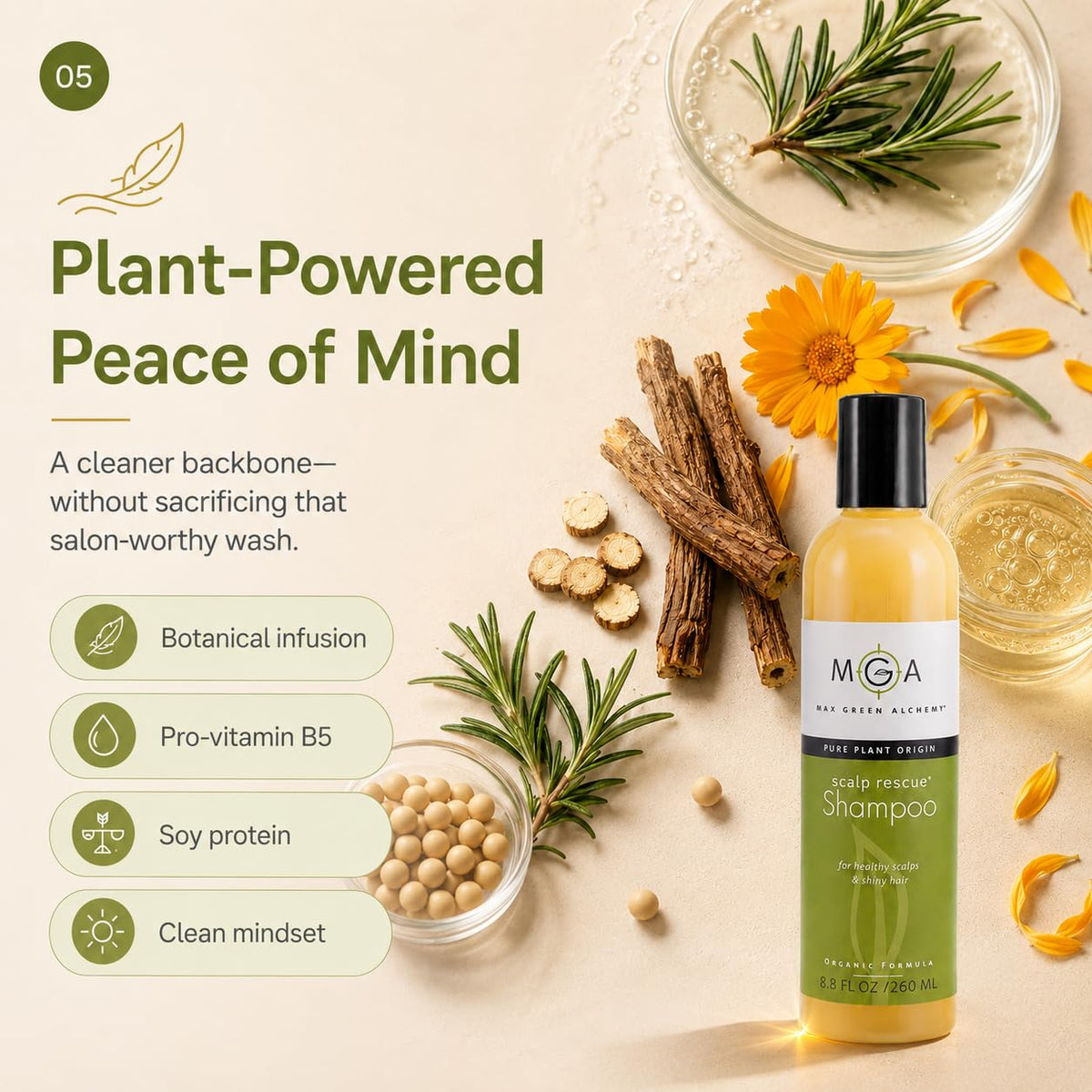 Max Green Alchemy ingredient herbs flatlay showing botanical extracts for scalp support