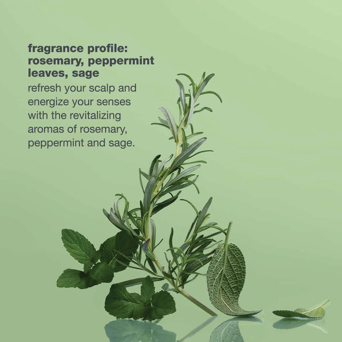 milk_shake rosemary and sage ingredients implying refreshing scent