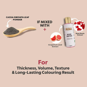MinaiBrow brush and bowl setup demonstrating easy at-home application