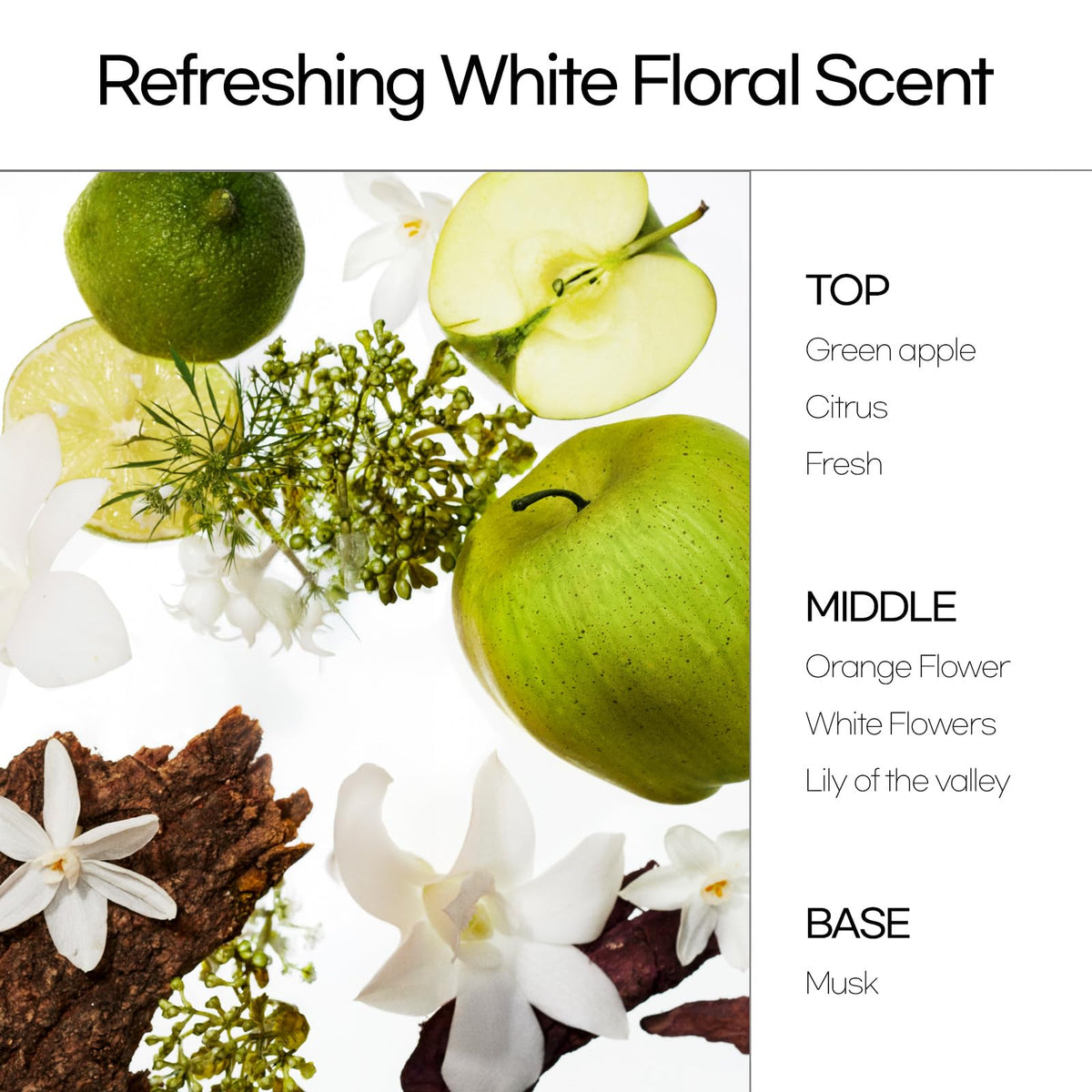 Mise En Scene duo on bathroom shelf illustrating convenient everyday use