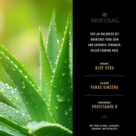 Mistral in-shower use with lather illustrating effective head-to-toe cleanse