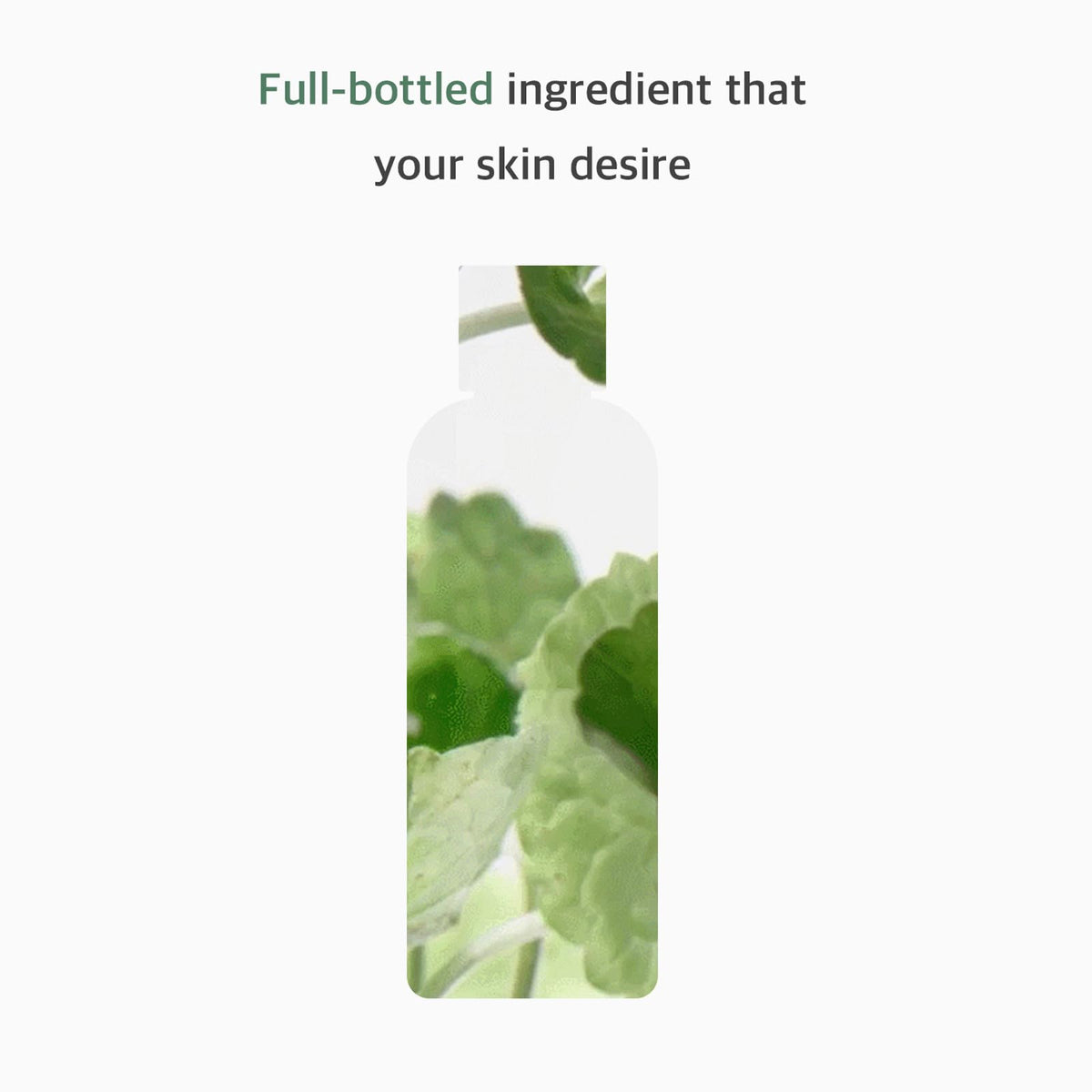 mixsoon centella toner texture close-up demonstrating lightweight hydration benefit