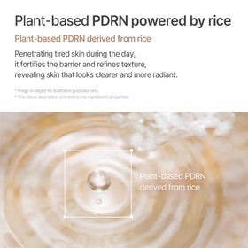 mixsoon rice grain and extract visuals emphasizing natural rice-derived exfoliation