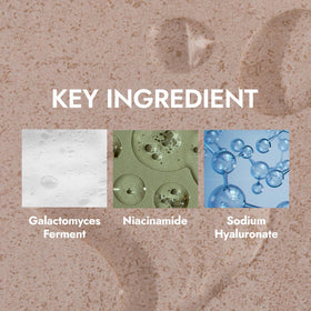 MIZON essence on skin absorbing quickly to boost hydration and layering