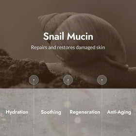 MIZON close-up label highlighting key actives like snail mucin and hyaluronic acid